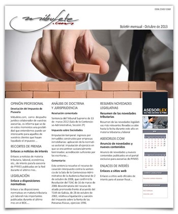 Bolet�n mensual octubre 2013