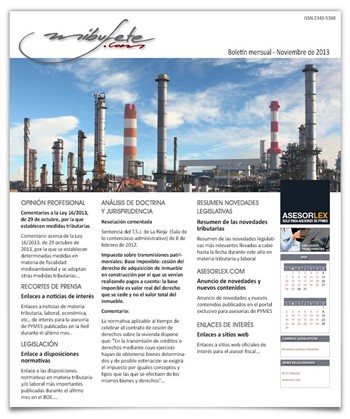 Bolet�n mensual noviembre 2013