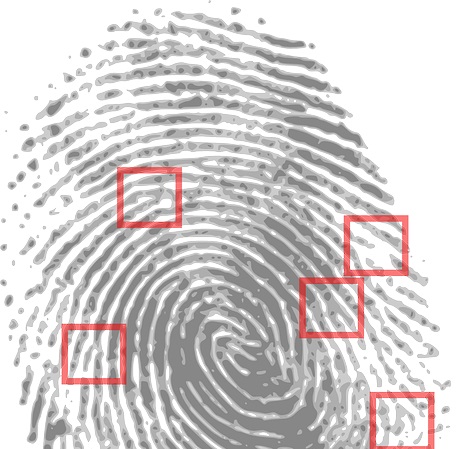 El necesario juicio de culpabilidad para imponer una sanci�n tributaria